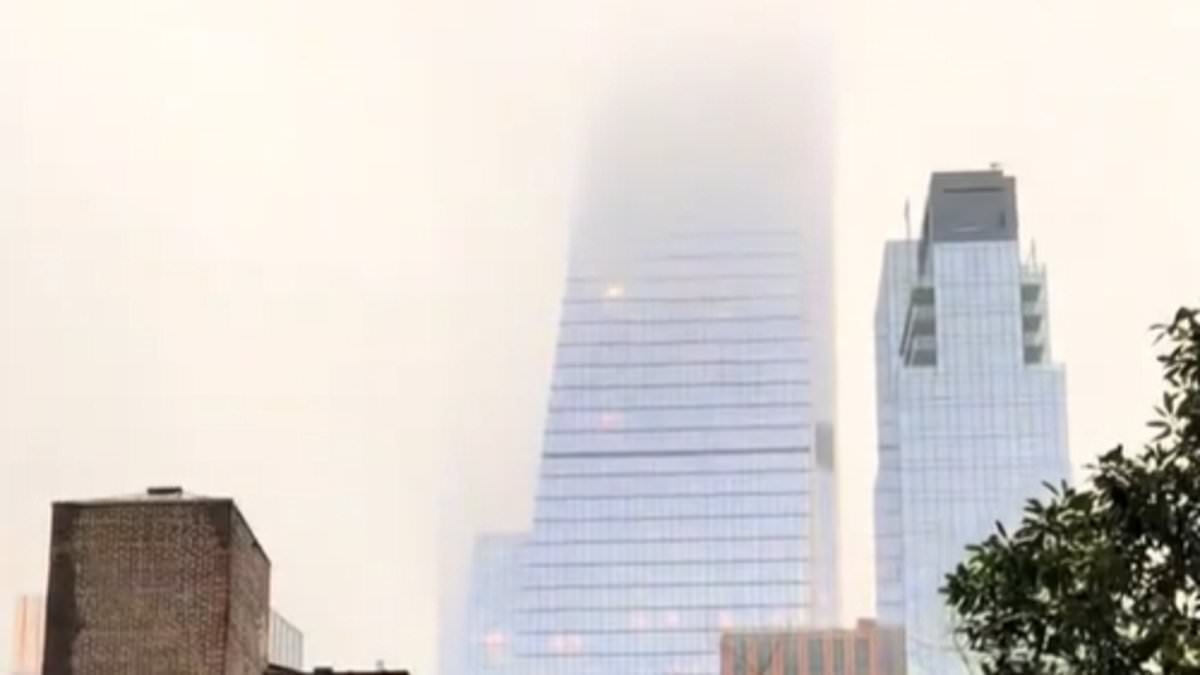 Eu moro na cobertura de um dos arranha-céus mais altos de Nova York... quando as pessoas veem a vista da janela, elas ficam aterrorizadas