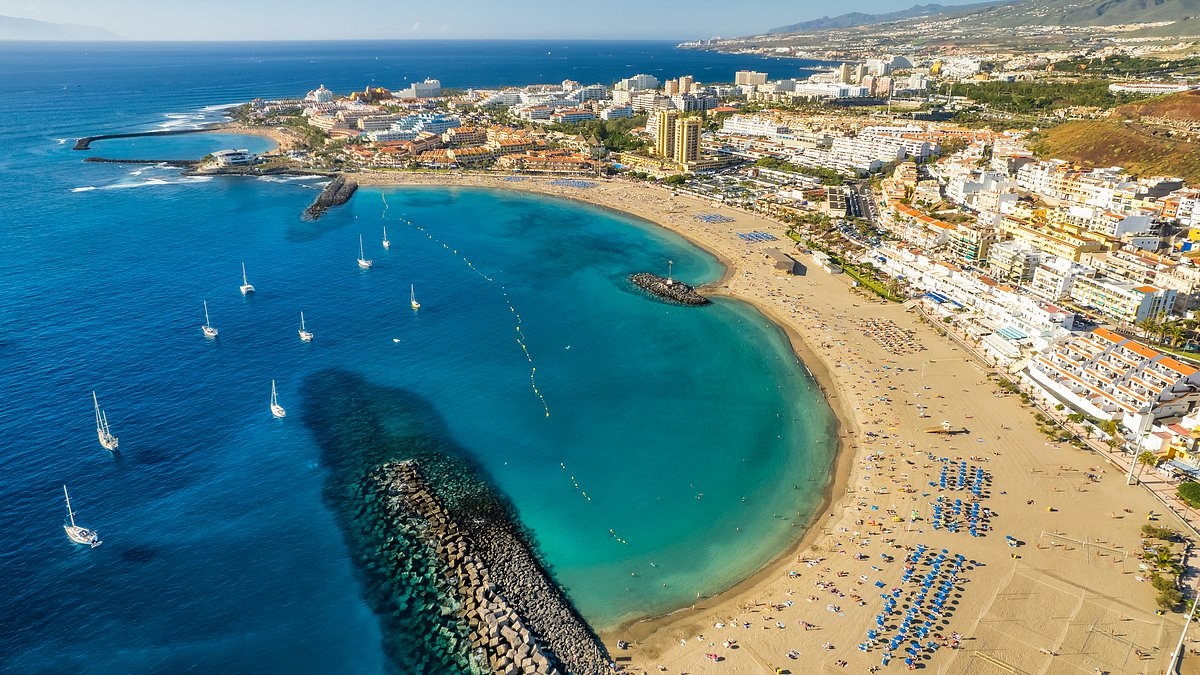 Brits told to 'remain vigilant' as one of world's most invasive ants found in Spanish tourist hotspot