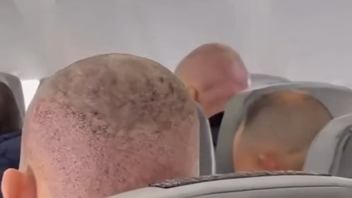 Frau teilt urkomisches Video eines Fluges voller postoperierter Männer mit „türkischen Haarlinien“