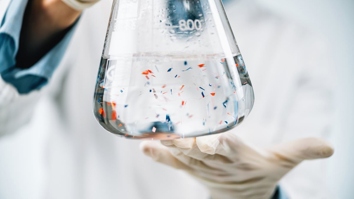 Der Expertenratgeber zu den Auswirkungen von Mikroplastik auf Ihren Körper – und 22 Möglichkeiten, Ihr Risiko zu minimieren