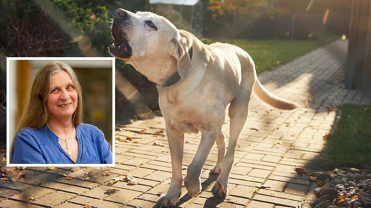 Meine Nachbarn beschweren sich über das Bellen meines Hundes. Können sie mich melden?