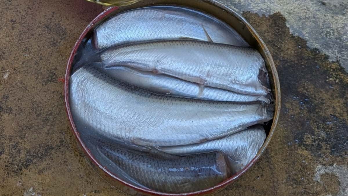 Ho assaggiato il cibo PIÙ PUZZOLENTE del mondo, così puzzolente da essere vietato dalle compagnie aeree