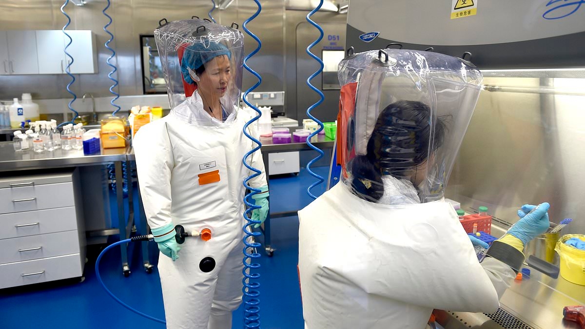 La Organización Mundial de la Salud SIGUE del lado de China sobre los orígenes del Covid mientras un informe descarta una fuga de laboratorio