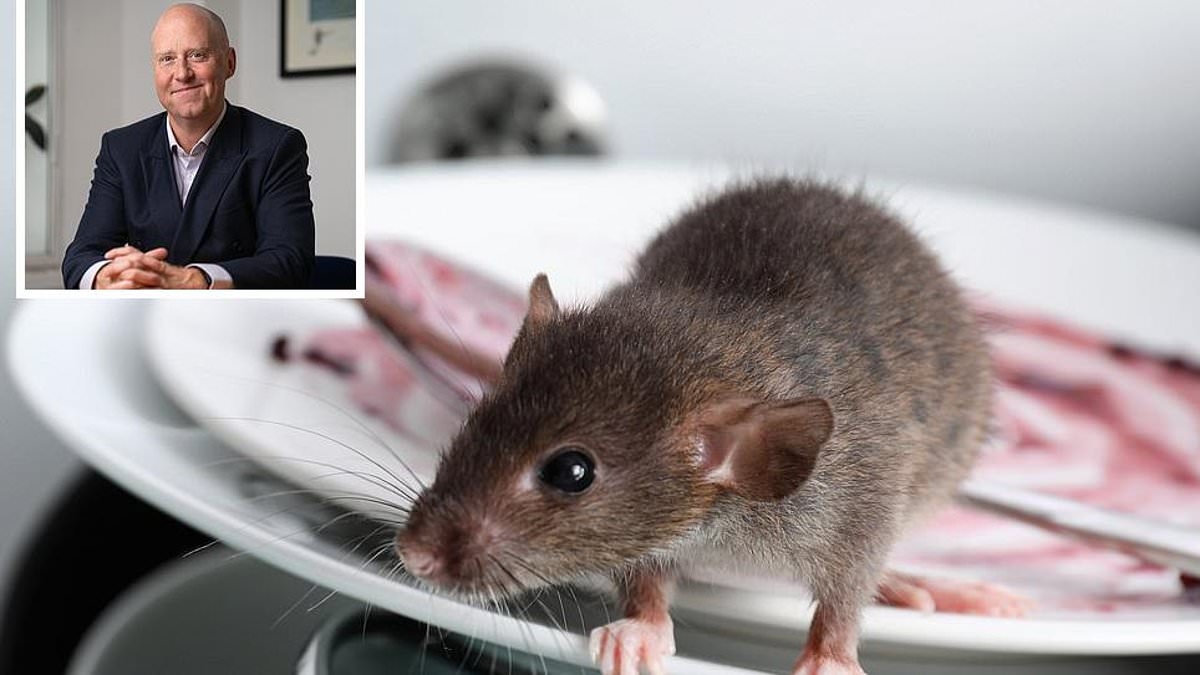 The house I bought is infested with rats - can I take action against the seller?