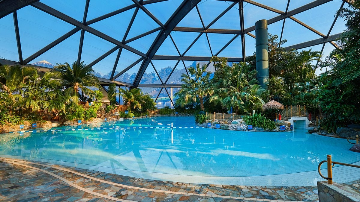 Trucchi da esperti per risparmiare una fortuna a Center Parcs. I parchi più economici, l'orario esatto per andarci e il trucco che può dimezzare i costi.