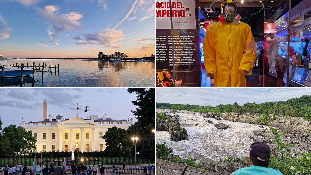 Il viaggio on the road perfetto a Washington: come una vacanza nella regione della capitale ha aiutato LEE BOYCE a comprendere davvero la storia e la cultura degli Stati Uniti