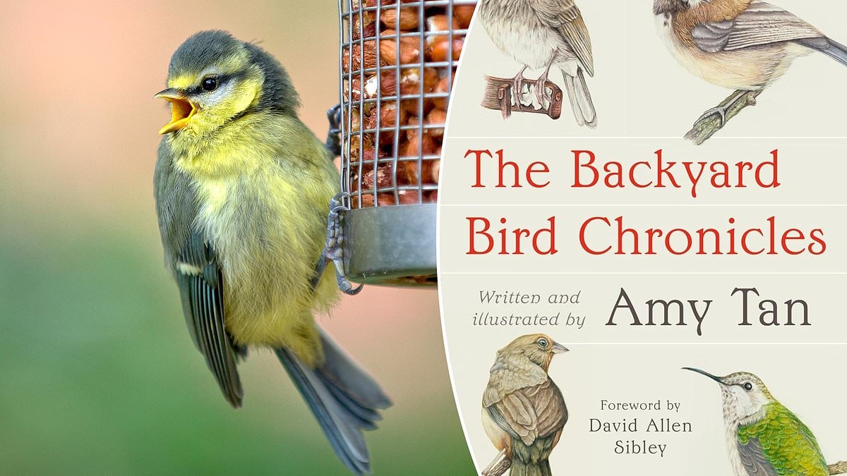 Les Chroniques des Oiseaux de Jardin par Amy Tan : Pourquoi vous devriez assaisonner votre nourriture pour oiseaux avec du piment rouge