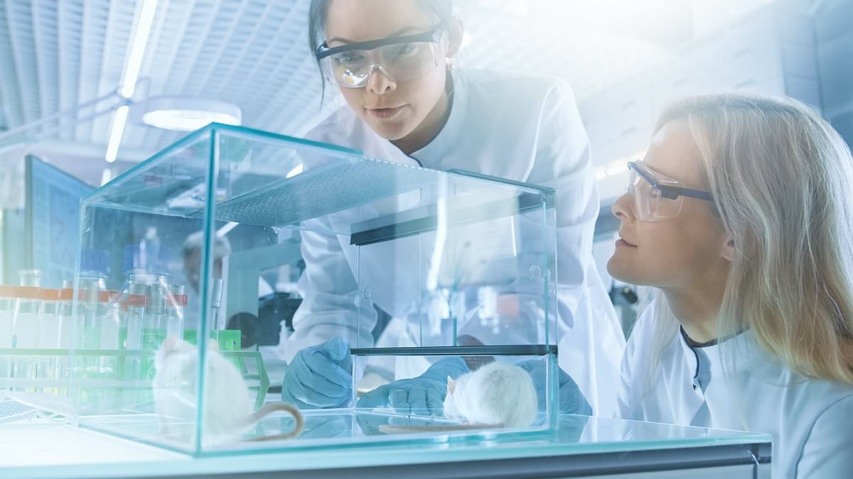 Huge breast cancer breakthrough as scientists discover key way to prevent deadly disease