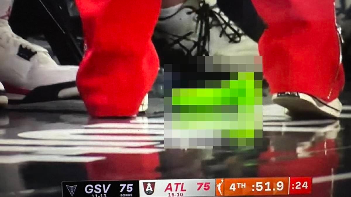 Identity of sex toy-throwing WNBA fan revealed as he awaits court date for indecent exposure charge