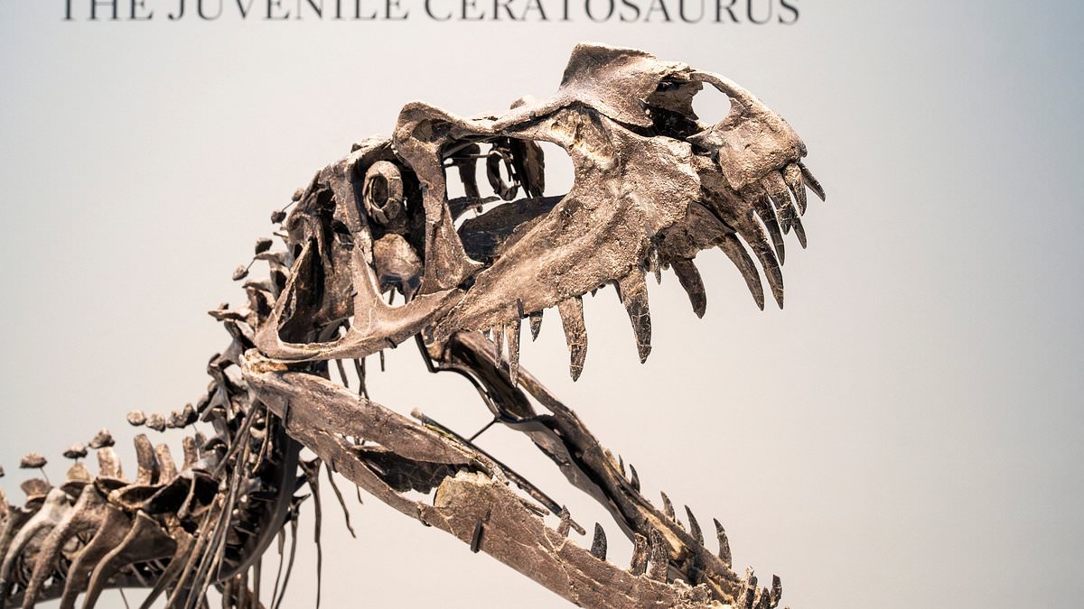 Inside the multi-million pound Jurassic underworld: How oligarchs and the uber-rich are in a cut-throat race for trophy dinosaur bones - and criminals are cashing in