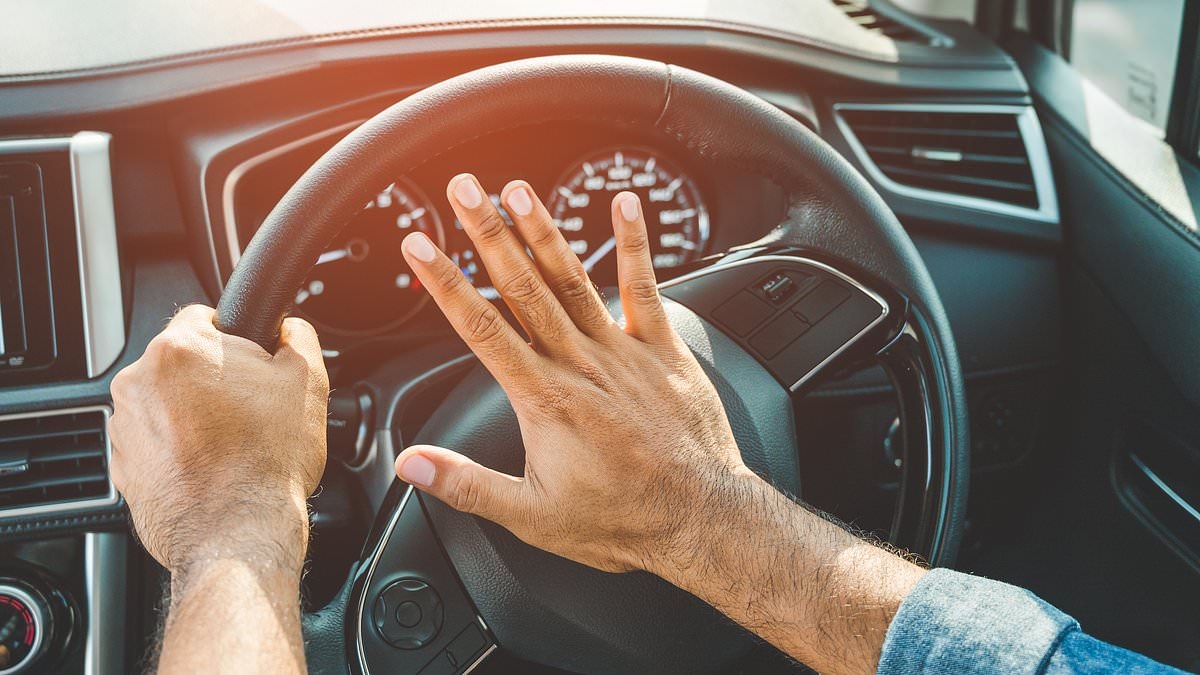 Posso davvero essere multato se suono il clacson della mia auto quando vado a prendere un amico?