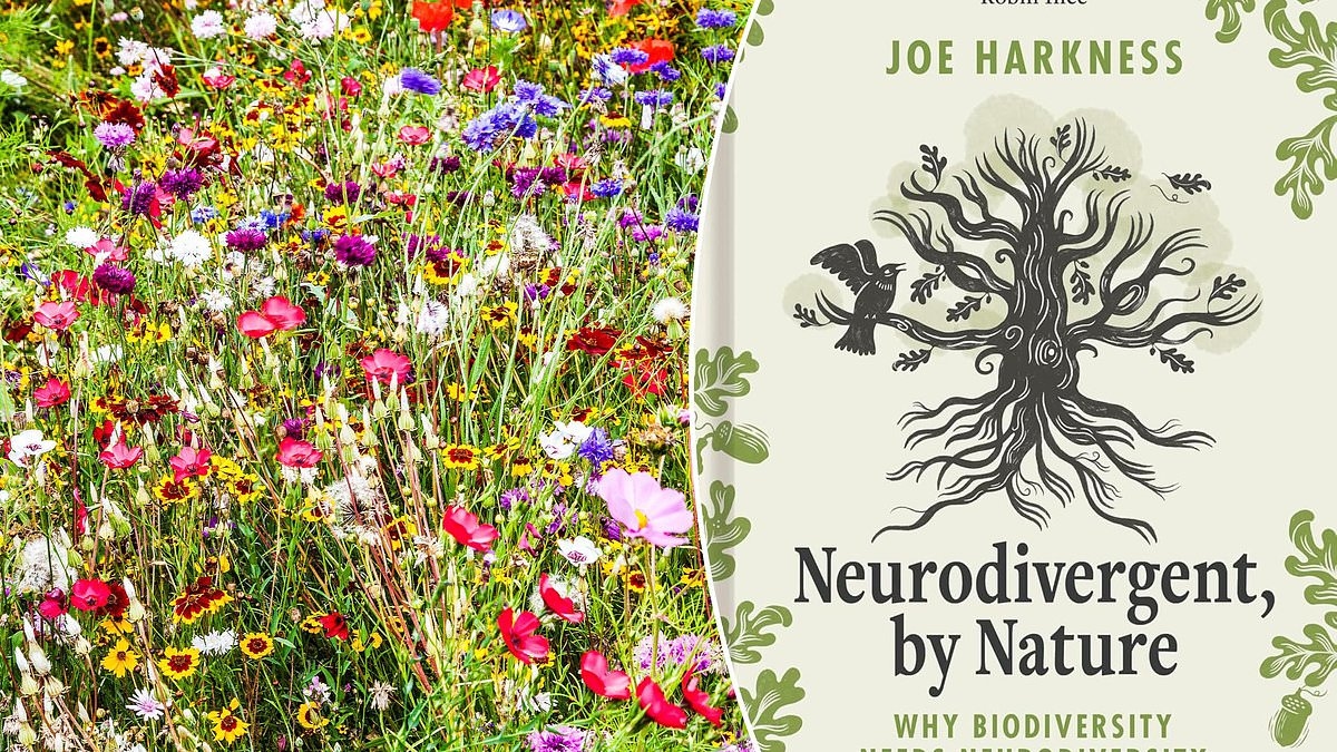 Neurodivergente, per natura di Joe Harkness: perché le persone con autismo sono in sintonia con la natura