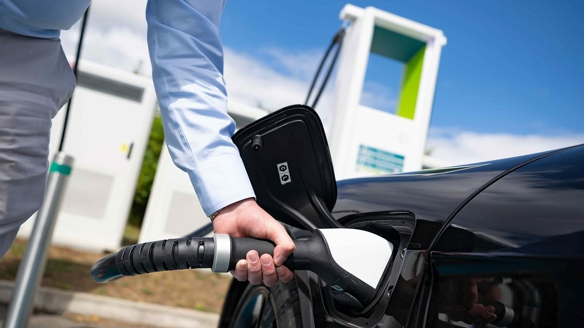 Die acht beliebtesten Elektrofahrzeuge, die nie die maximale Ladegeschwindigkeit erreichen ... und die zwei, die es tun