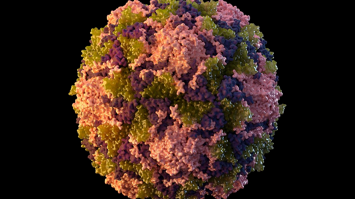 CDC issues travel warnings for five new countries over 'crippling and deadly' disease