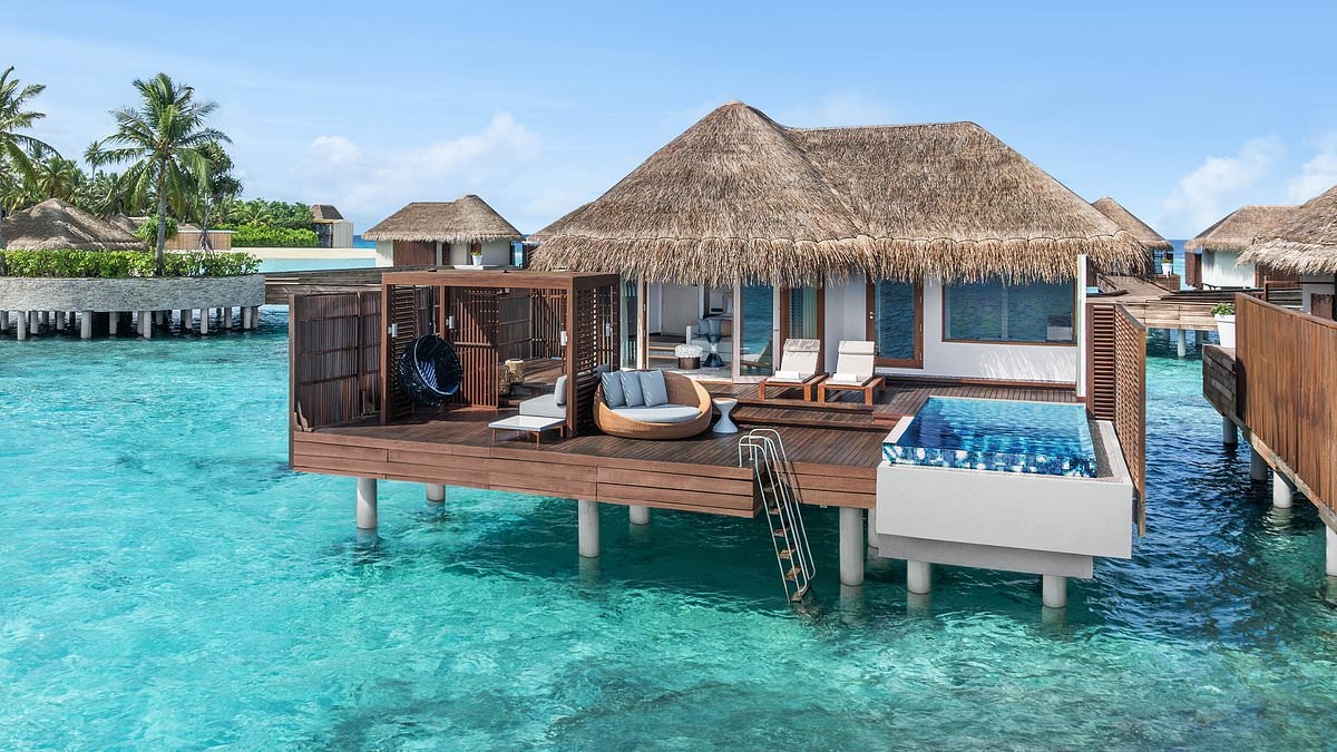 Come massimo esperto mondiale delle Maldive, ho visitato quasi TUTTI i resort... e posso aiutarti a evitare di sprecare migliaia di dollari. Ecco le mie 25 scelte selezionate personalmente per la migliore vacanza che tu abbia mai fatto. Non partire sen...