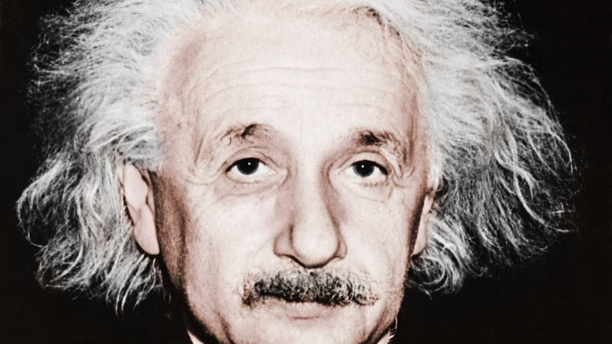 The Gift of Not Belonging by Dr Rami Kaminski: Hate Small Talk? You could be an Einstein!