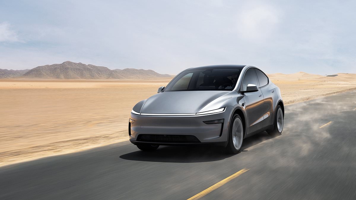 Recensione della Tesla Model Y: FREDA LEWIS-STEMPEL sulla possibilità che possa contribuire ad aumentare le vendite della casa automobilistica di proprietà di Musk in Gran Bretagna