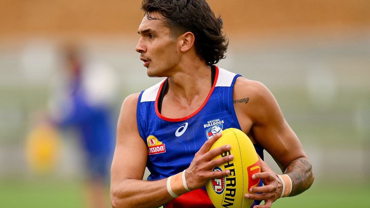 Der in Schwierigkeiten geratene AFL-Star Jamarra Ugle-Hagan befand sich angeblich in einem berüchtigten Nachtclub in Melbourne, als während einer Schlägerei eine Waffe abgefeuert wurde
