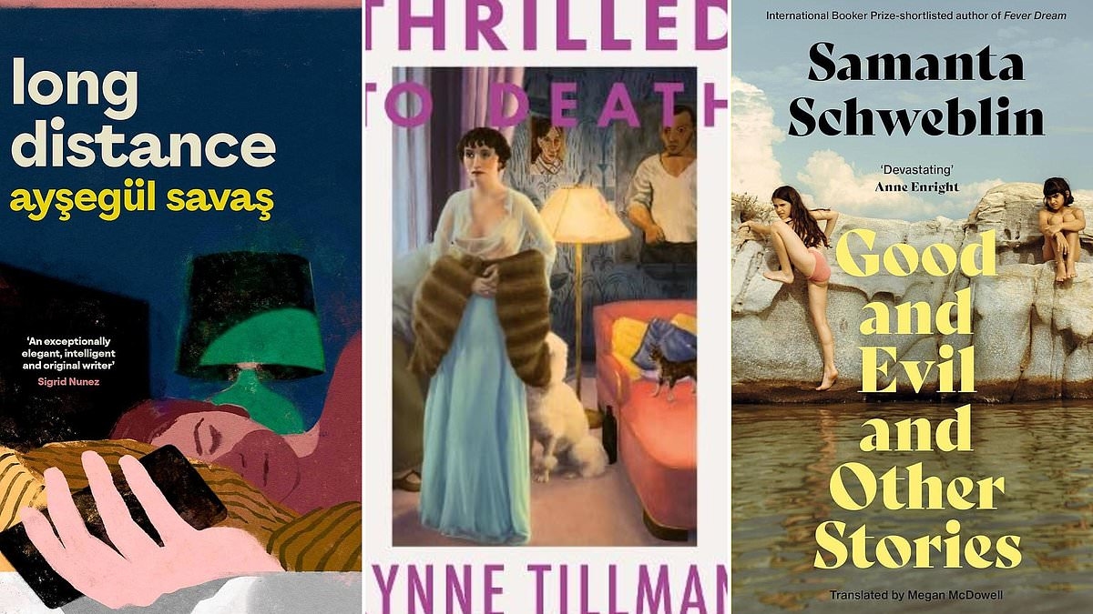 Contos sutis e surpreendentes: O BEM E O MAL E OUTRAS HISTÓRIAS de Samanta Schweblin, EMOCIONADO ATÉ A MORTE de Lynne Tillman, LONGA DISTÂNCIA de Aysegül Savas