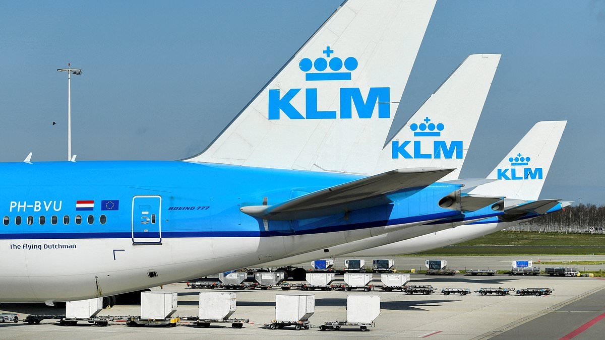 TONY HETHERINGTON: I booked business class seats - but KLM's flight had none!