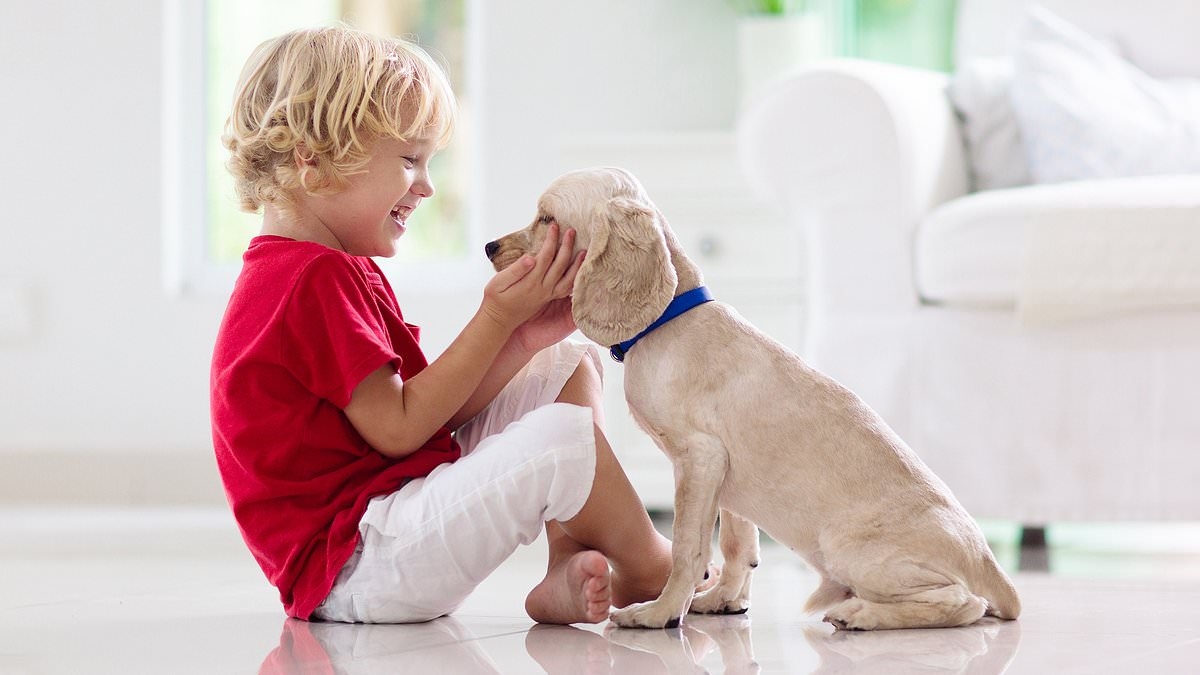 A razão surpreendente pela qual crescer com cães (e não com gatos) pode ser bom para a sua saúde