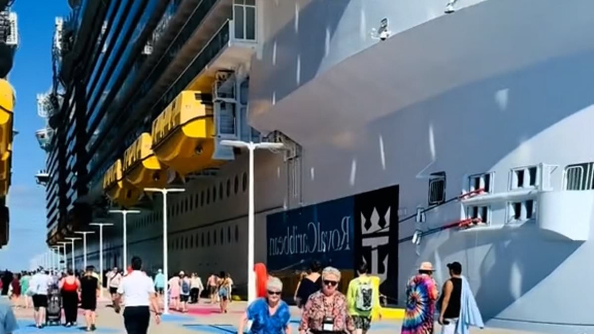 Bir yolcu, 'ne olacağını görmek' için yanlış gemiye binmeye çalıştı