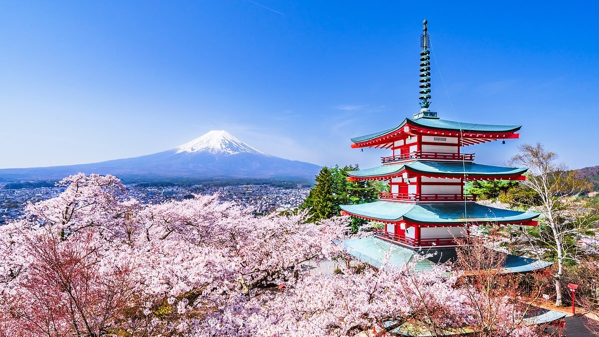 Stocks are soaring, so should you seize the chance to... Go big in Japan?