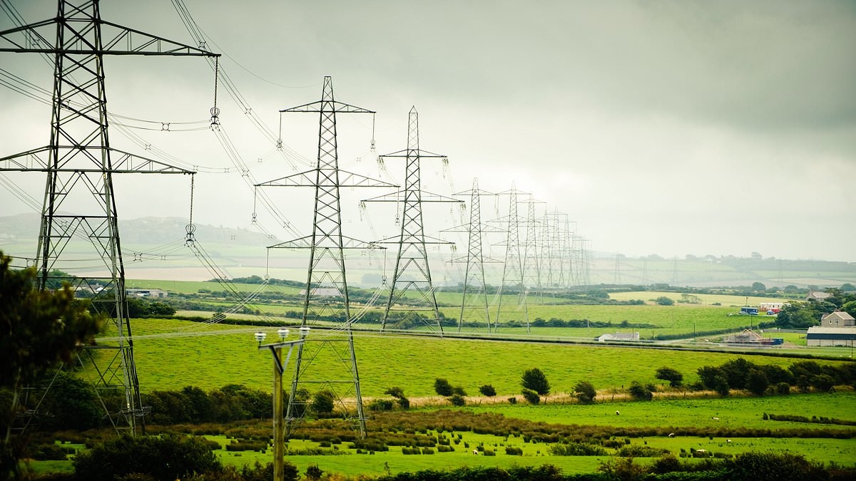 Politische Unruhen in Cardiff gefährden den 200 Meilen langen Strommastplan