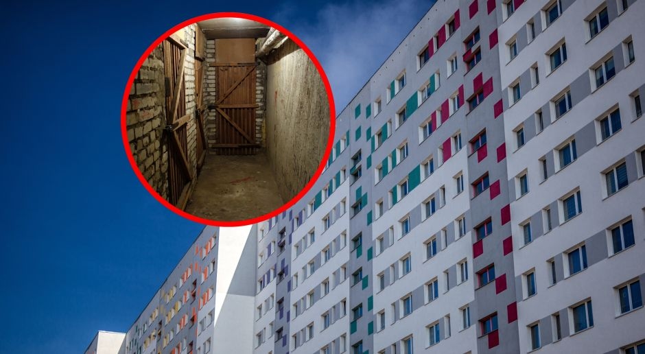 Get it out of the basement immediately. Inspections have already begun, with fines of up to 5,000 PLN. Poles are flouting the ban en masse.