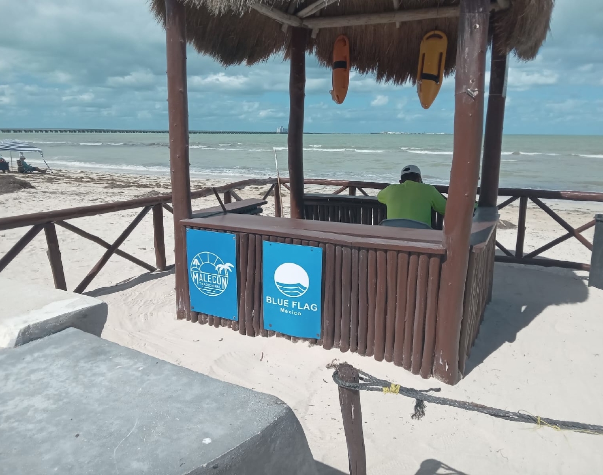Port works in Progreso; work is underway to preserve the Blue Flag.