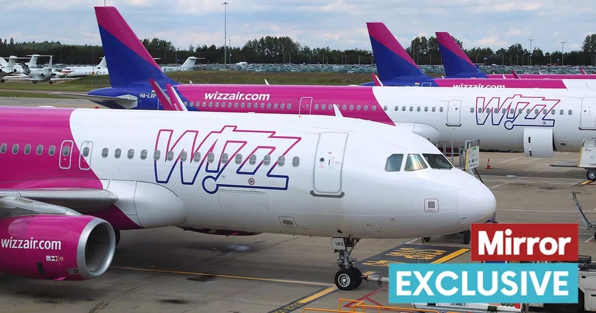 I passeggeri di Wizz Air si ritrovano con un viaggio rovinato e costi di 1.200 sterline a causa di un modulo mancante