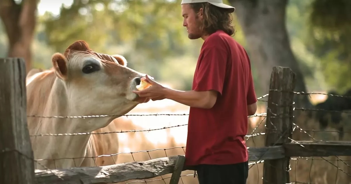 "Ho realizzato un documentario per Netflix che ha trasformato le persone in vegani: non crederai a quello che ho visto mentre lo facevo"