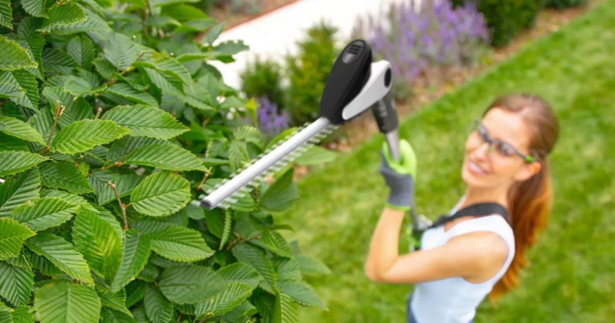 Gtech's 'super light' cordless hedge trimmer is £70 off and makes gardening 'effortless'