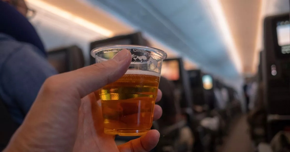 Regras da Ryanair, Jet2, BA, TUI e easyJet para levar seu próprio álcool a bordo