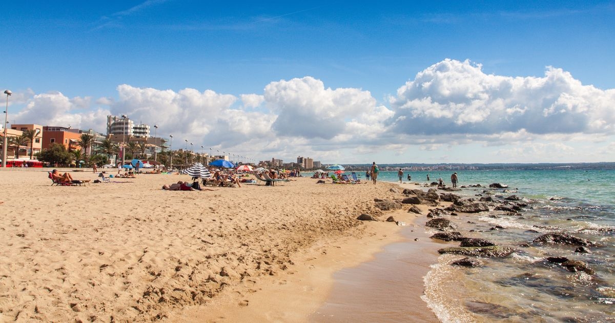 Chaos auf den spanischen Inseln: 45.000 neue Wohnungen nötig, um den „totalen Zusammenbruch“ zu verhindern