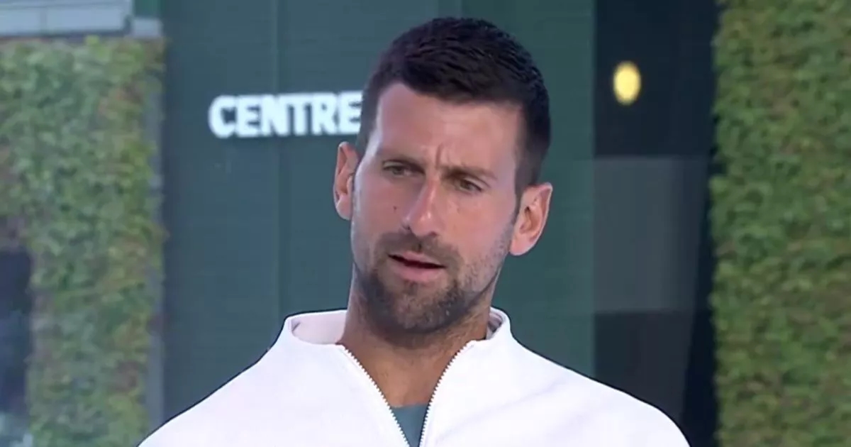 Novak Djokovic names two 'favourites' to win Wimbledon after learning quarter-final opponent