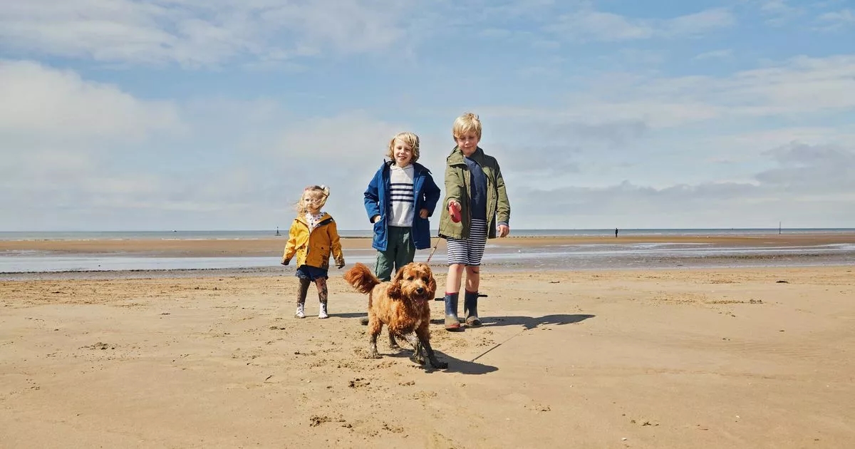 La spiaggia più adatta ai cani del Regno Unito è un tratto di sabbia con piscine naturali e dune
