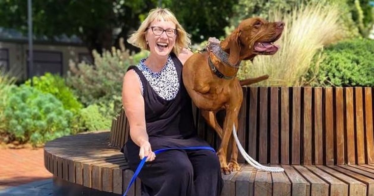 Checking into the hotel where dogs get treated better than humans