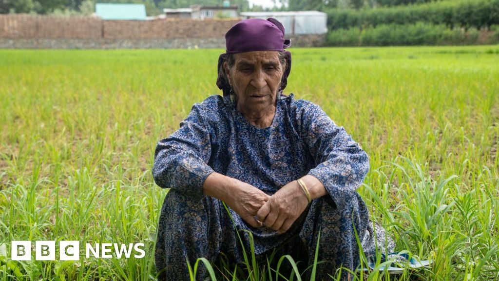 La creciente crisis de calor en Cachemira afecta la salud y las cosechas