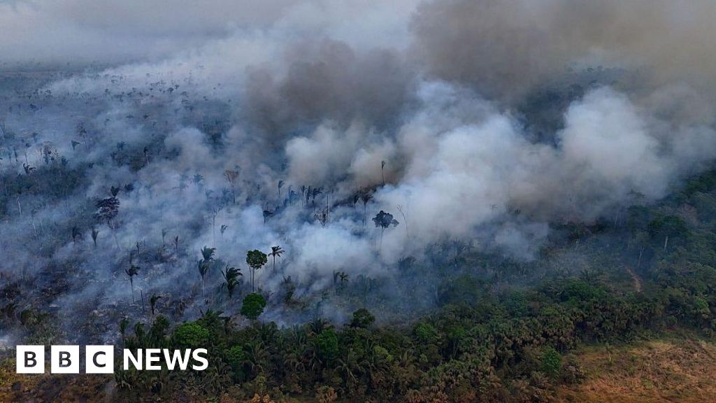 Tropical forests destroyed at fastest recorded rate last year