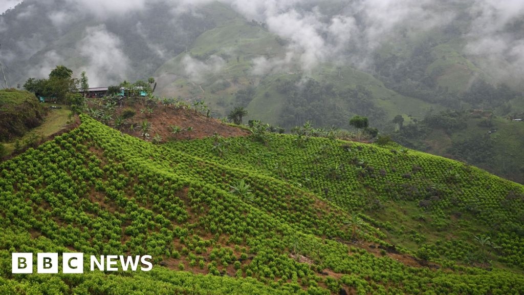 Dezenas de soldados capturados nas montanhas colombianas