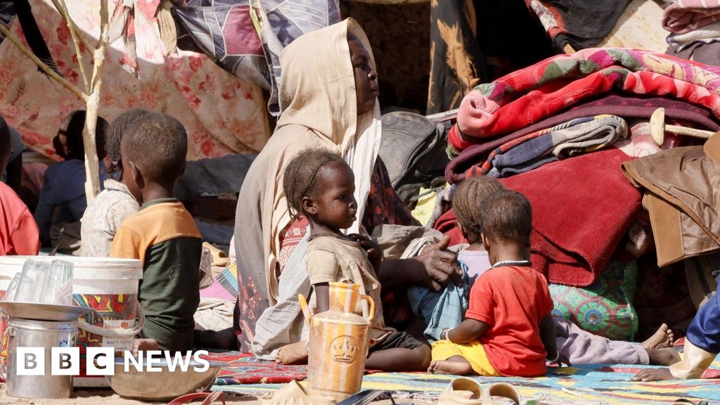 La CPI considera que es probable que se estén cometiendo crímenes de guerra en Darfur