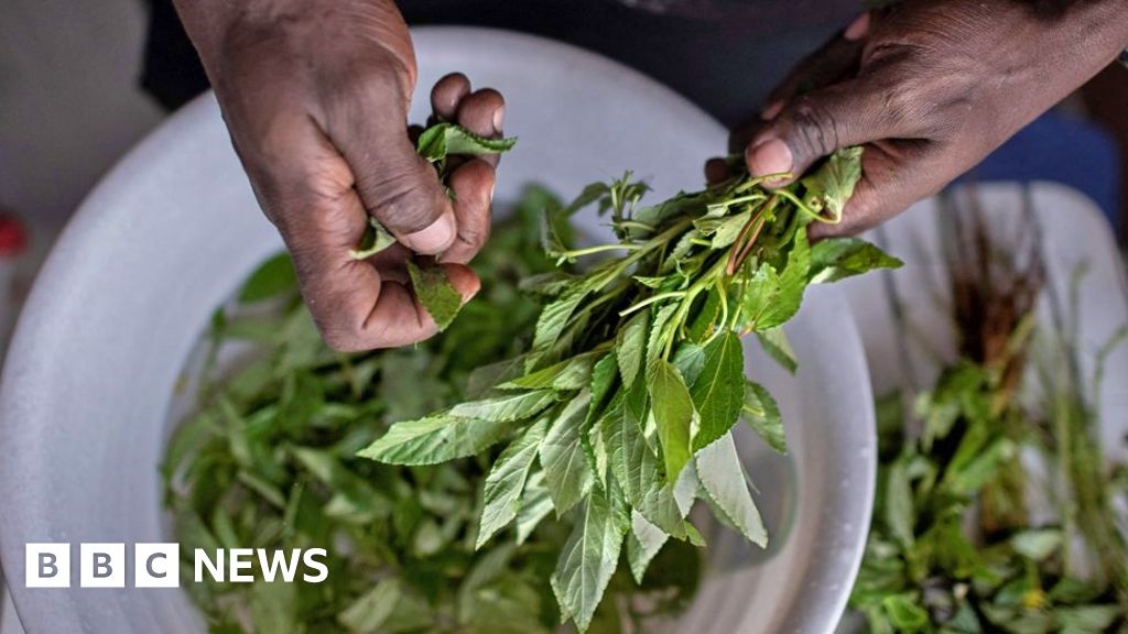 Las malas hierbas olvidadas se convierten en un éxito culinario en Kenia