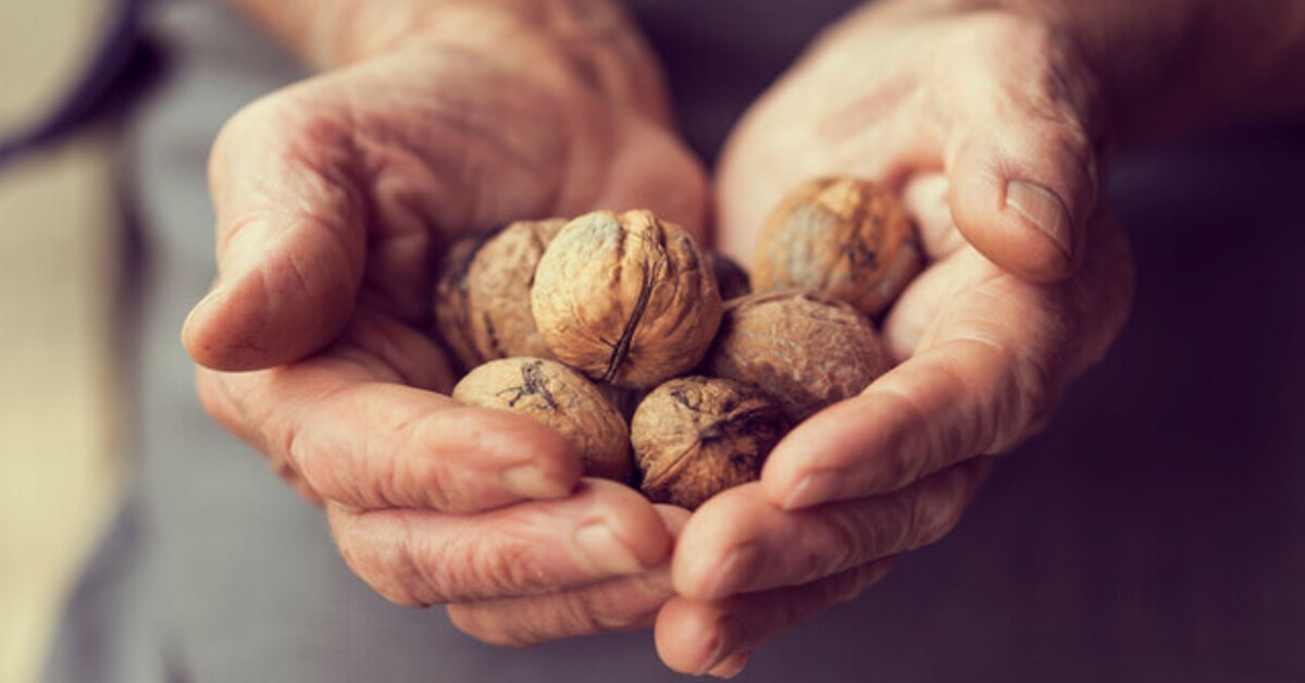 ¿Se pueden comer las nueces con forma de mariposa?