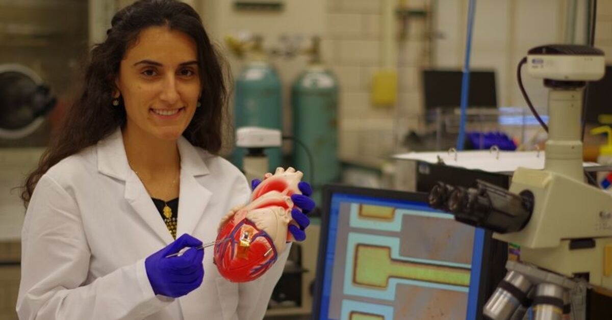 Der Wissenschaftler Canan Dağdeviren erlitt eine Gehirnblutung