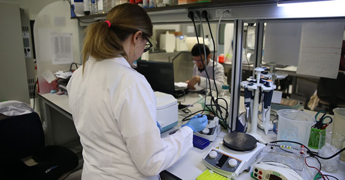 Er is een datum vastgesteld voor het CCHF-vaccin!