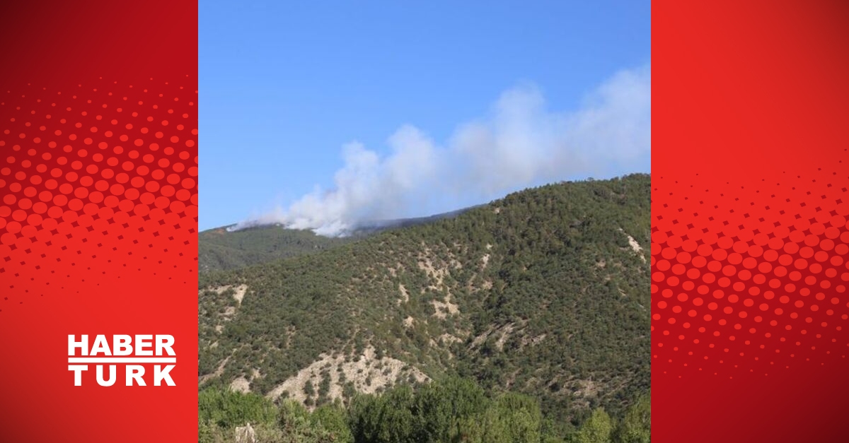 Incendies de forêt dans 4 provinces