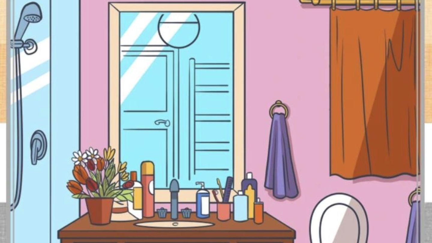 Hidden picture: Everyone sees the mirror – but no one finds the hat