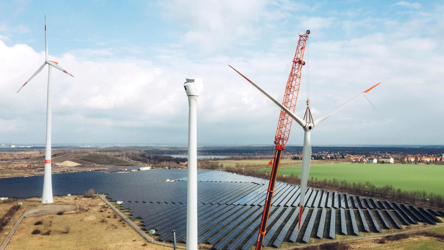 Energy policy: The battle over electricity prices | Capital+