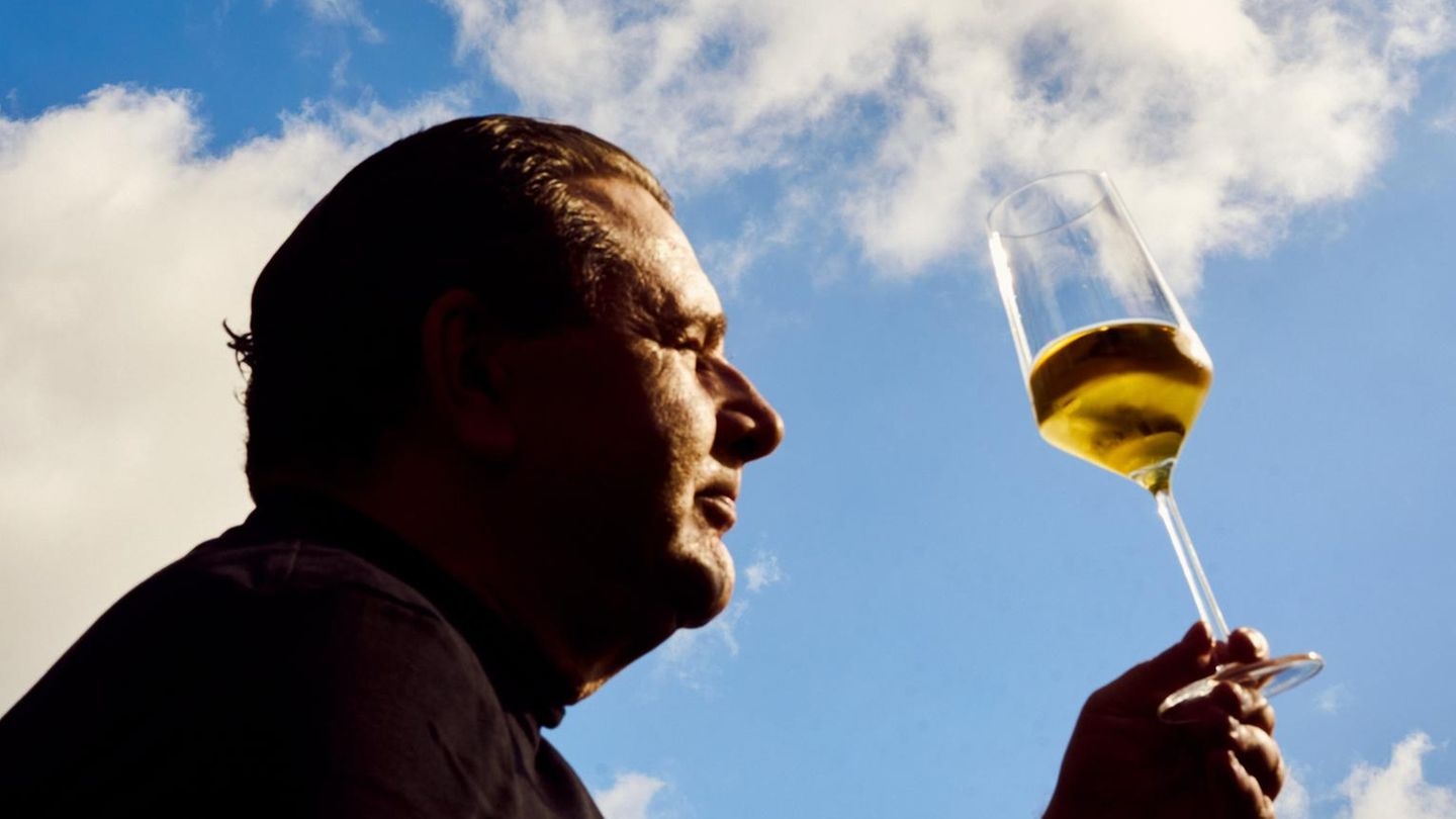 Herencia: Colección de vinos heredada: ¿Qué vino debería vender? | Capital+